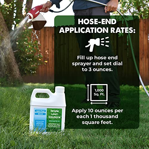 Advanced 16-4-8 Lawn Fertilizer - Liquid Lawn Food Spring & Summer Concentrated Spray - Any Grass Type- Fish and Seaweed Kelp- Balanced NPK - Simple Lawn Solutions (1 Quart)