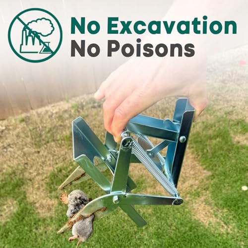 Garsum Mole Traps That Kill, EasySet Vole Gopher Trap for Lawns, Reusable Quick and Clean Kill,1 Eliminator Scissor Trap