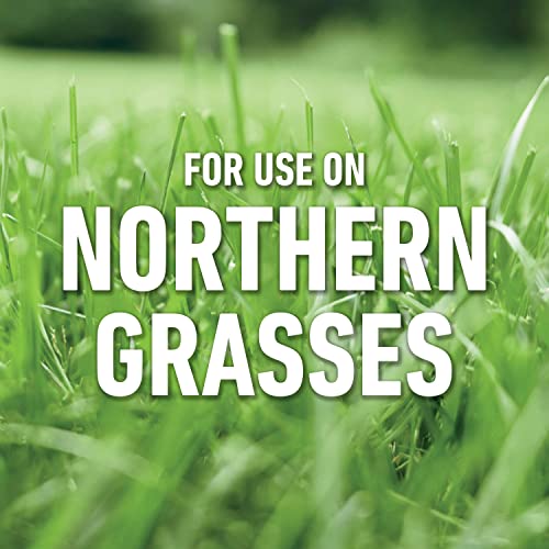 Roundup for Lawns₁ Ready-to-Use with Extend Wand, Tough Weed Killer for Use on Northern Grasses, 1.33 gal.
