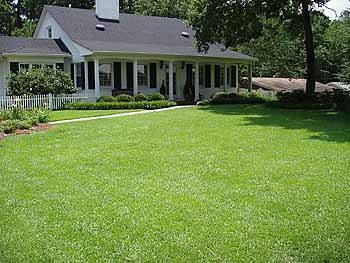 TifBlair Centipede Grass Seed (5 Lb.) Direct from The Farm