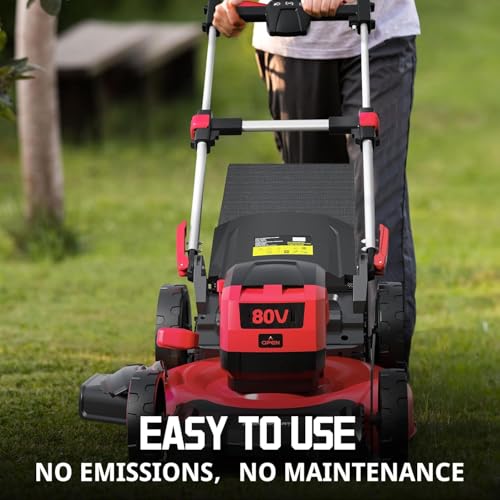 PowerSmart 80V 22