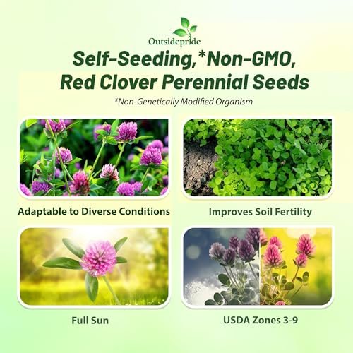 Outsidepride Perennial Red Clover Seeds - 1/4 lbs. Self-Seeding, Nitrocoated, Inoculated Clover Seeds for Lawn, Yard, Forage, Pasture, Hay, Nitrogen Fixation, Soil Improvement & Crop Rotation Programs