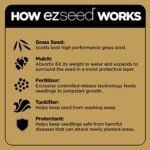 Scotts EZ Seed Review: The Game-Changing Fix for Bare Spots