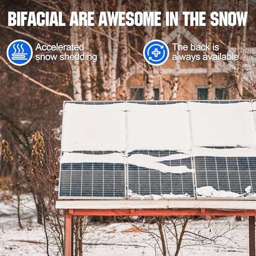 ECO-WORTHY 400W Bifacial Solar Panel 2pcs 195 Watt 12 Volt Monocrystalline Solar Panel Module Off Grid PV Power for Home, Camping, Boat, Shed Farm, RV