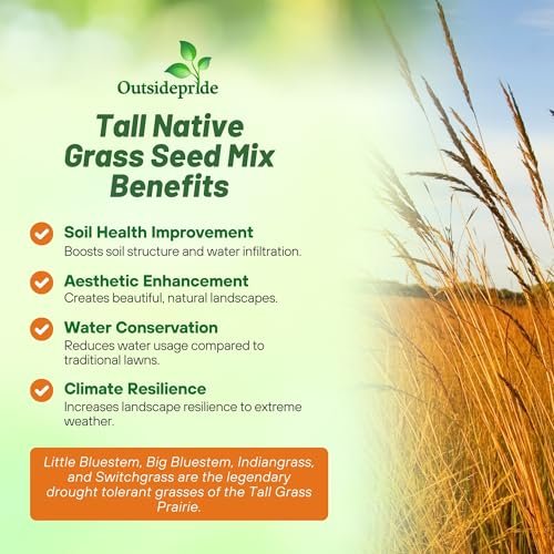 Outsidepride Perennial Tall Native Grass Seed Mix - 1 lbs. Blend of Drought-Tolerant, Low-Maintenance Bluestem, Switchgrass & Indian Grass Seeds for Wildlife Habitat, Erosion Control & Landscaping