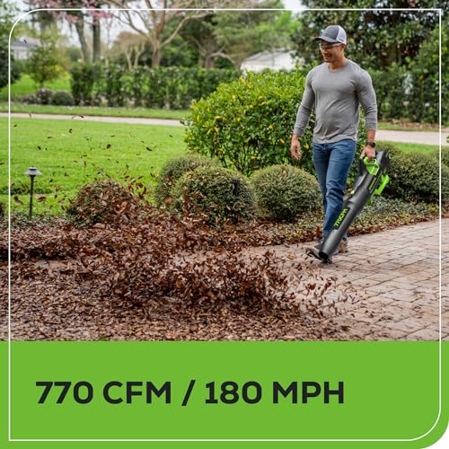 Greenworks 80V 21
