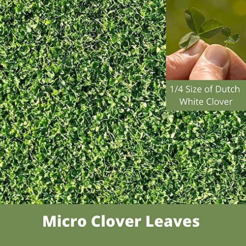 Flawn Seed Kits Micro Clover Seed, Organic Coated, Eco-Friendly, Low Growing, Low Maintenance, Lawn Alternative, Kraft Pouch, Covers up to 1000 sqft