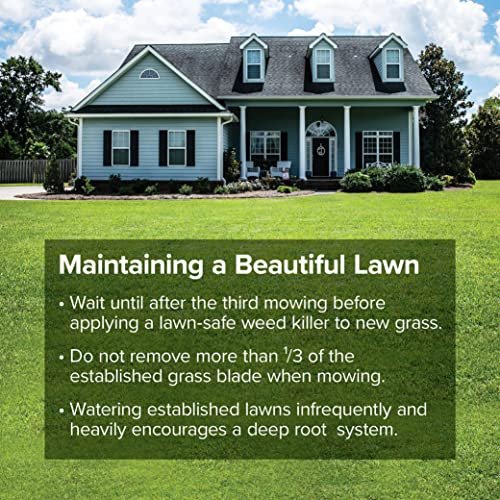 Blue Seal Evergreen Grass Seed - Complete Sun and Shade Mix, Fine-Textured Lawn, Thickens Rapidly, Fast Growing Lawn Seed - 25 lb Bag