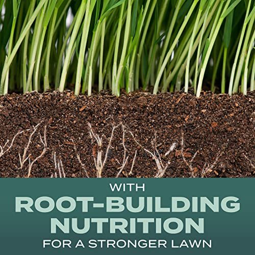Scotts Turf Builder Grass Seed Dense Shade Mix with Fertilizer and Soil Improver, Grows With Little Sunlight, 5.6 lbs.
