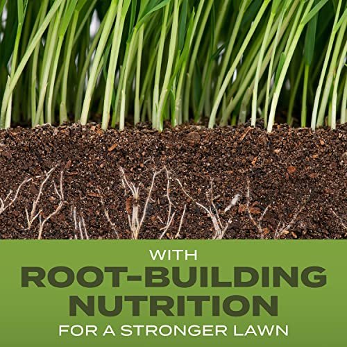 Scotts Turf Builder Grass Seed Tall Fescue Mix with Fertilizer and Soil Improver, Resists Harsh Conditions, 5.6 lbs.