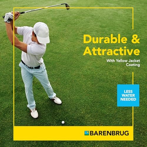 Barenbrug Turf Saver RTF Grass Seed with Yellow Jacket Seed Coating - Less Water Self-Repairing Tall Fescue Turf for Use on Sports Field, Golf Courses, Parks, Lawns, and Yard (10 LB Bag)