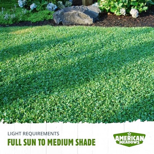 American Meadows Microclover Seed - Specially Blended Lawn Alternative, Low Maintenance, Great Ground Cover, Durable for High Traffic Areas, Drought Tolerant, Grass Alternative (1 lb.)