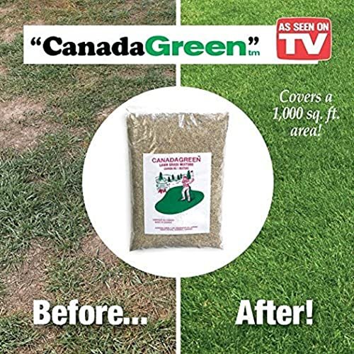 Canada Green Grass Lawn Seed - Grows Healthy Rich Green Grass Lawn Seed Plants Yard Garden 2 Pound Bag