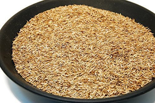Kentucky 31 K31 Tall Fescue Grass Seed by Eretz - Choose Size! State Certified, No fillers, No Weed or Other Crop Seeds (1lb)