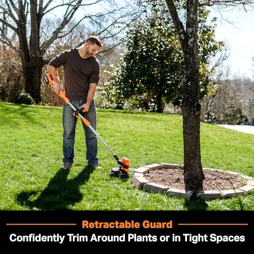 LawnMaster CLGT2412S 24V 12
