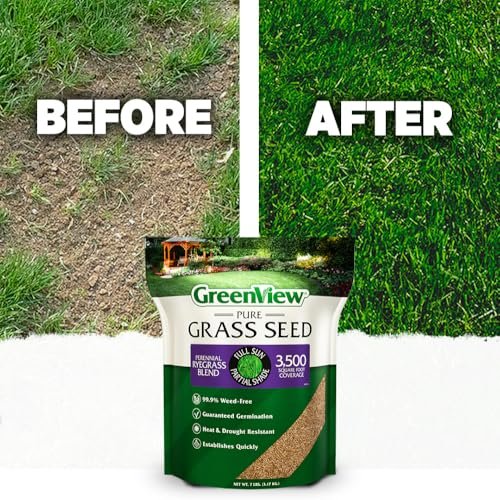 GreenView Pure Grass Seed Perennial Ryegrass Blend, 20 lb. Bag – Covers up to 10,000 sq. ft.