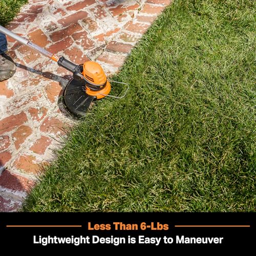 LawnMaster CLGT2412S 24V 12