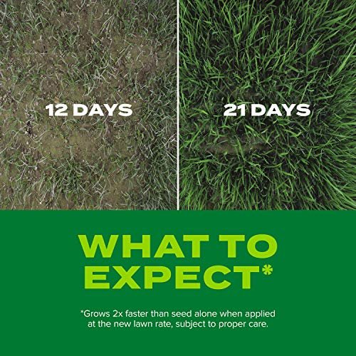 Scotts Turf Builder Rapid Grass Sun and Shade Mix, Combination Seed and Fertilizer, Grows Green Grass in Just Weeks, 16 lbs.