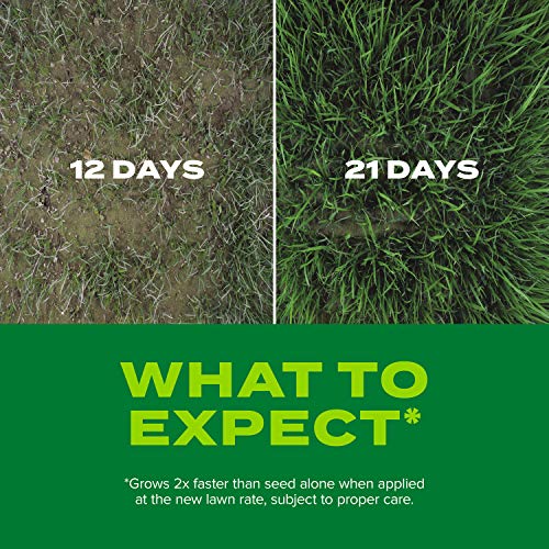 Scotts Turf Builder Rapid Grass Sun and Shade Mix, Combination Seed and Fertilizer, Grows Green Grass in Just Weeks, 16 lbs.