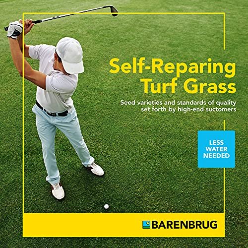 Barenbrug Turf Star Regenerating Perennial Ryegrass Lawn Seed with Yellow Jacket Seed Coating, Fast-Acting Durable Grass Seed Mix for Lawns, 10-lb. Bag