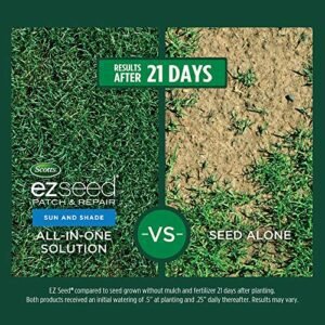 Scotts EZ Seed Review: The Game-Changing Fix for Bare Spots