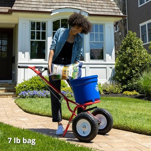 Jonathan Green (10322) Black Beauty Ultra Grass Seed - Cool Season Lawn Seed (7 lb)