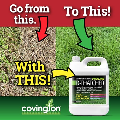 Covington PRO-LINE D-Thatcher Liquid Dethatcher (1 Gal) – Lawn Thatch Remover & Soil Softener, Grass Clipping Breakdown for Healthy Lawns & Gardens – Dethatcher and Aerator, Safe for Kids & Pets