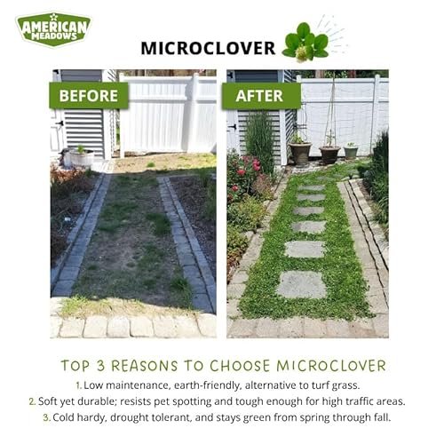 American Meadows Microclover Seed - Specially Blended Lawn Alternative, Low Maintenance, Great Ground Cover, Durable for High Traffic Areas, Drought Tolerant, Grass Alternative (1 lb.)