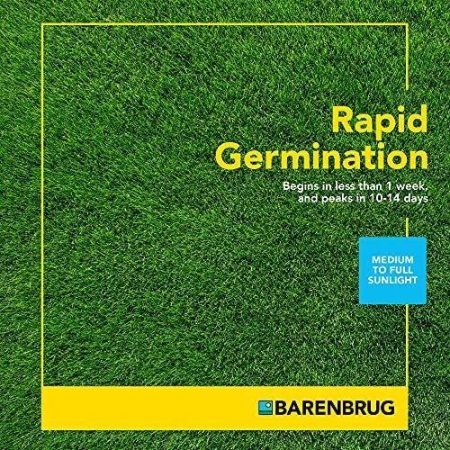 Barenbrug Turf Star Regenerating Perennial Ryegrass Lawn Seed with Yellow Jacket Seed Coating, Fast-Acting Durable Grass Seed Mix for Lawns, 10-lb. Bag