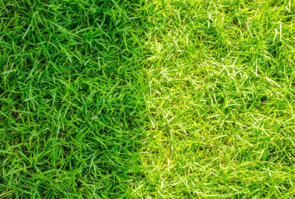 How to Mow a Lawn Properly