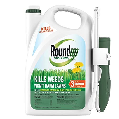 Roundup for Lawns₁ Review: Weed-Free Grass After Testing