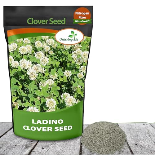 Outsidepride Clover Review: Game-Changing Ground Cover!