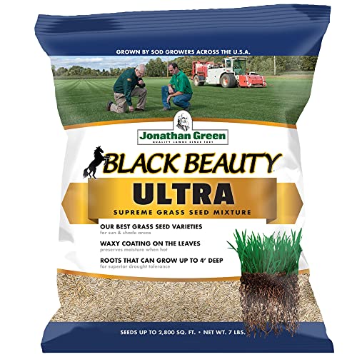 Jonathan Green Black Beauty Ultra: My Honest Review for 2024