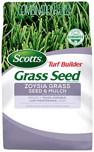 Scotts Zoysia Seed Review: Is It Worth It? (My Honest Take)