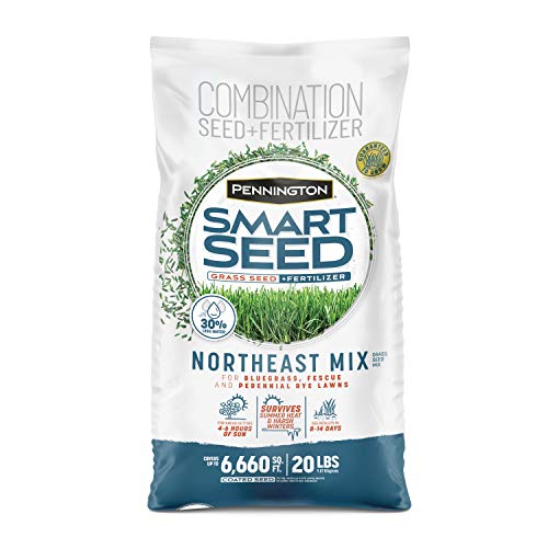 Pennington Smart Seed Review: Lawn Perfection for the North