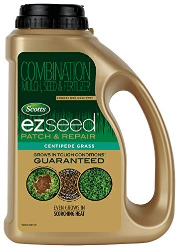 Scotts EZ Seed Centipede: Worth it? Review After 1 Month