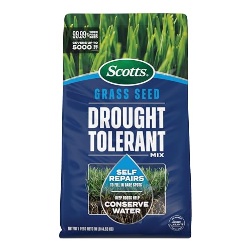 Scotts Grass Seed Review: A Game-Changer for Dry Lawns?