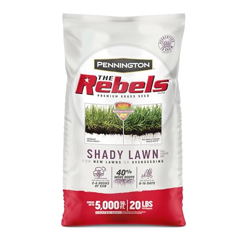 Pennington The Rebels Tall Fescue Review: Shady Lawn Savior