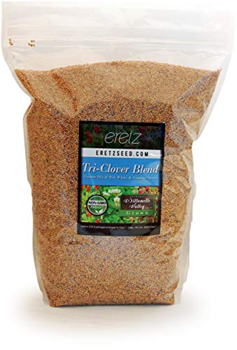 Tri-Clover by Eretz Review: Beauty & Cover - Worth It?