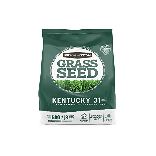 Pennington Kentucky 31 Review: A Game-Changer for Lawns