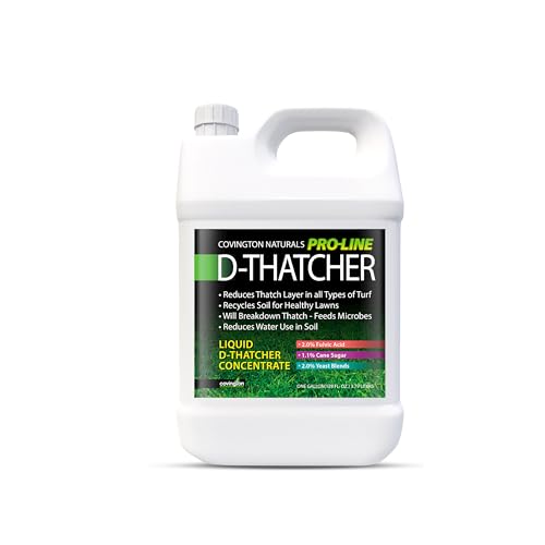 Covington D-Thatcher Review: Game-Changing Lawn Thatch Remover