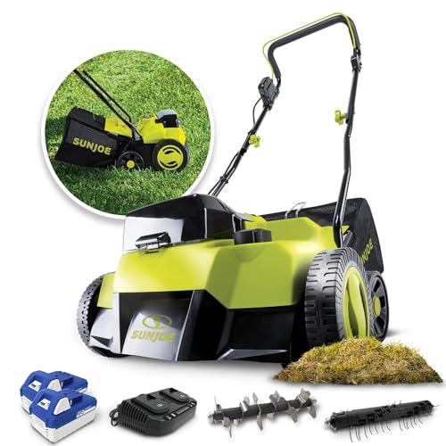 Sun Joe 24V-X2-DTS15 Review: Game-Changing Lawn Tool!