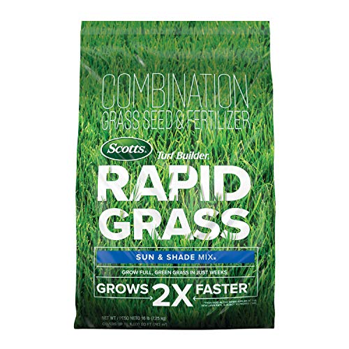Scotts Turf Builder Rapid Grass Review: Worth It? (Weeks of Testing)