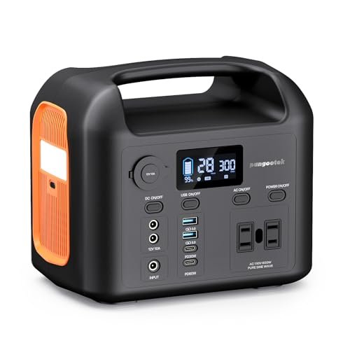 Portable Power Station Review: Camping Game-Changer?