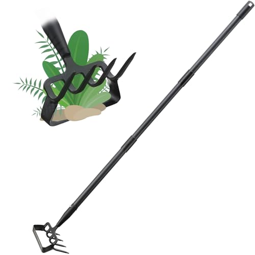 Stirrup Hoe Review: Game-Changing Weeder for All Gardeners