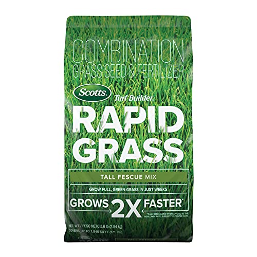 Featured image for We Tested 5 Best Grass Seeds: Here Are Our Top Picks