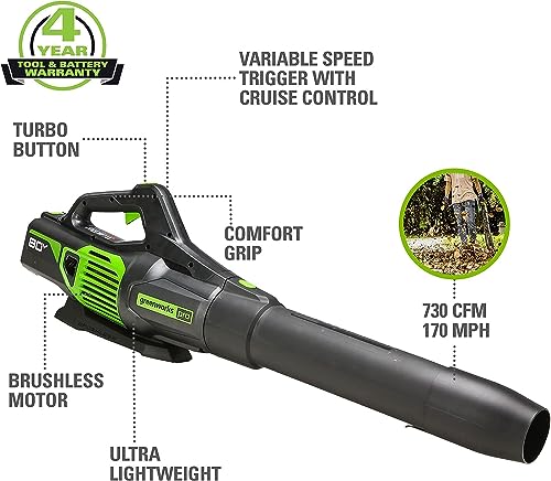 Greenworks 80V 25