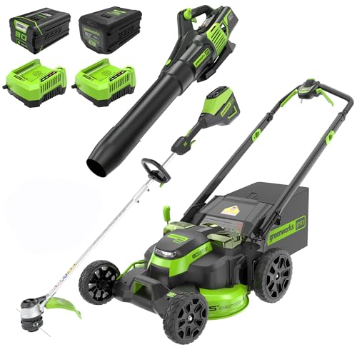 Greenworks 80V 25