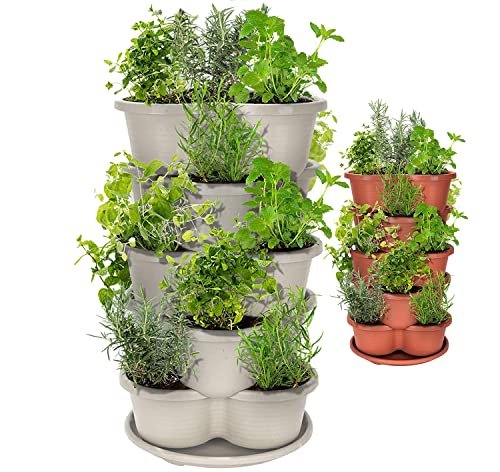 Featured image for 5 Vertical Garden Kits That Will Green Your Space