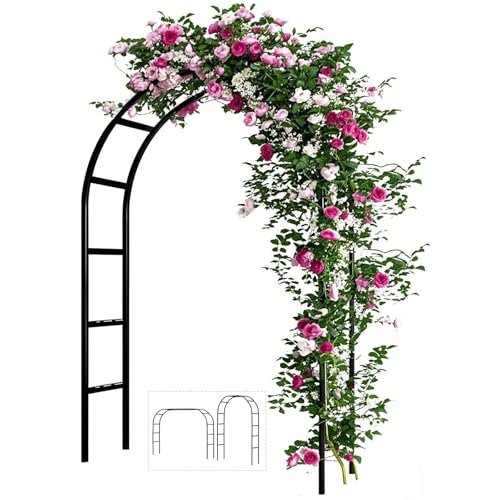Featured image for The 5 Best Trellises for Climbing Plants in 2025